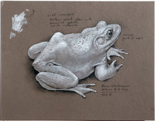 Load image into Gallery viewer, The Artist's Guide to Sketching