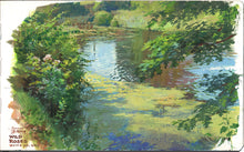 Load image into Gallery viewer, Flower Painting in the Wild