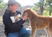 Load image into Gallery viewer, Watercolor in the Wild