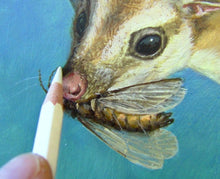 Load image into Gallery viewer, The Mammal That Ate Dinosaurs