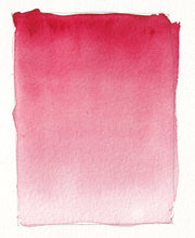 Load image into Gallery viewer, GRADIENTS: Color, Form, Illusion DVD