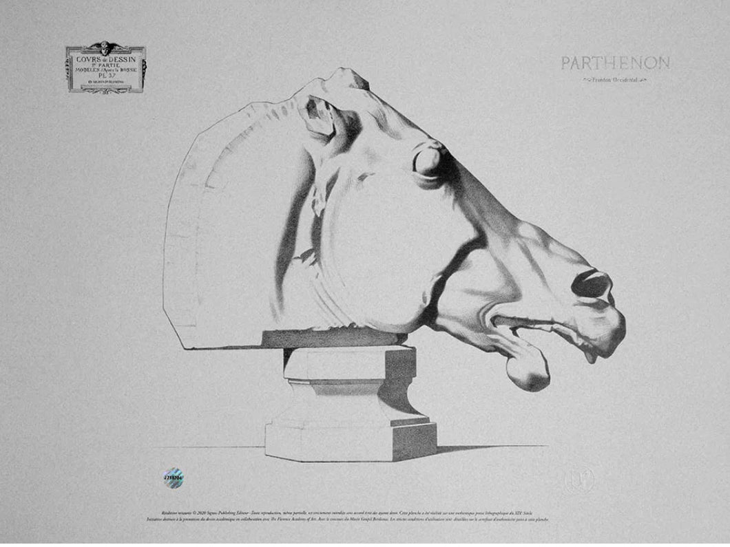 Charles Bargue Plate of Horse's Head