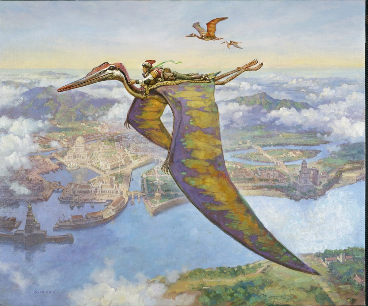 SkybaxRider_1200x.jpg?v=1620858392
